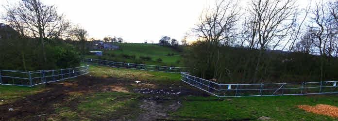 tree protection fencing uk